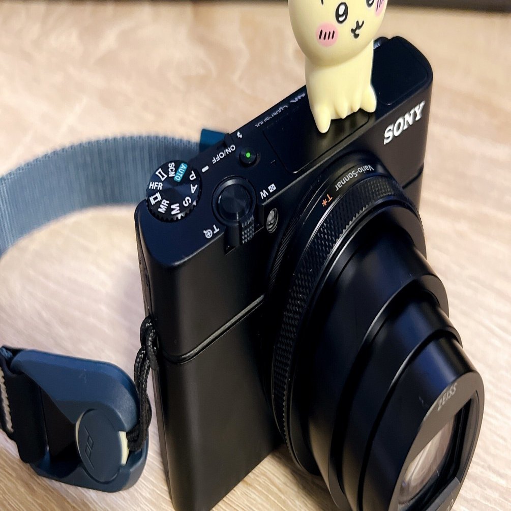 ド素人が高級デジカメを買った感想｜ねがくず