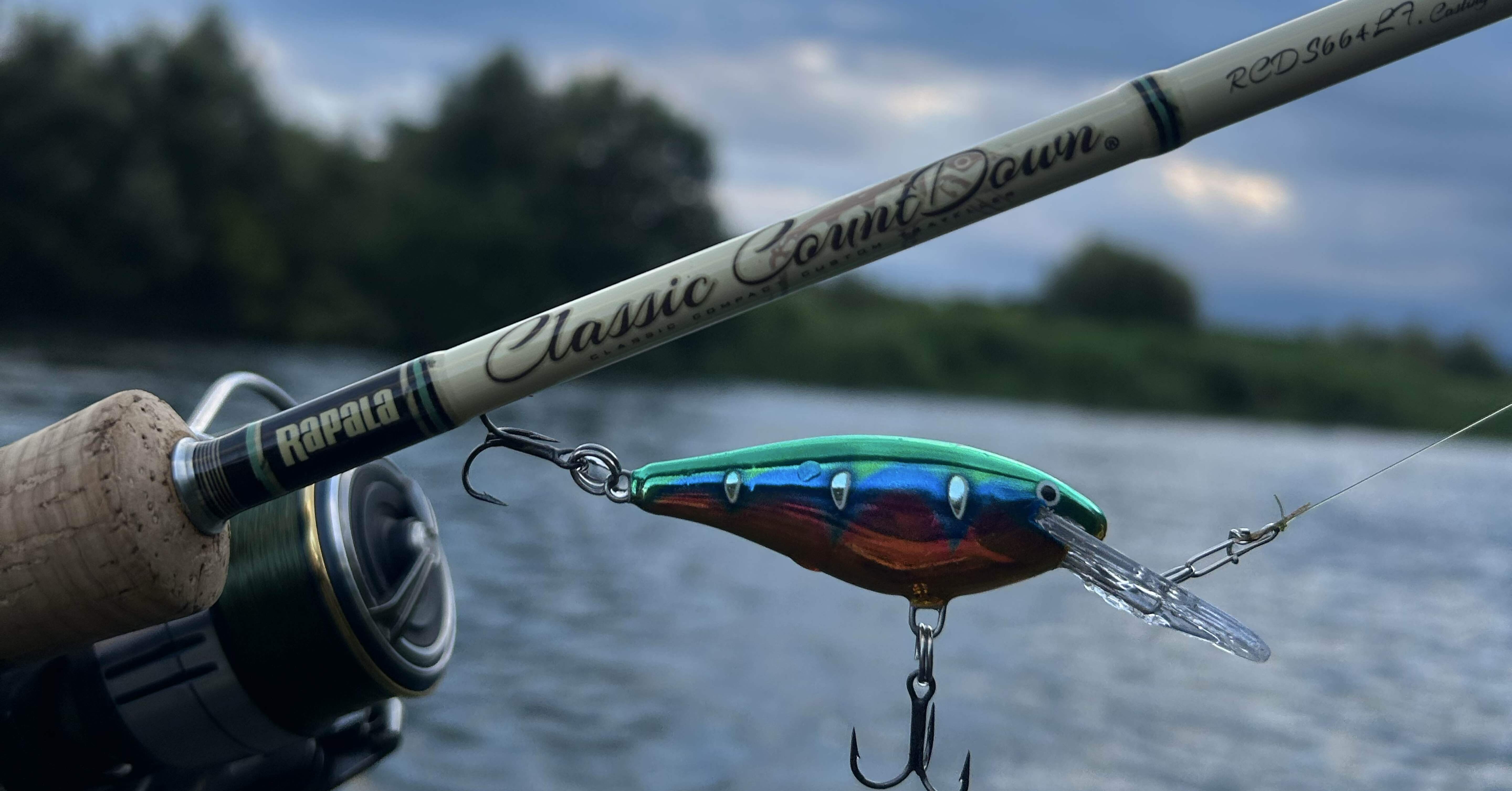 クラシックカウントダウン RCDS664LF｜ ラパー