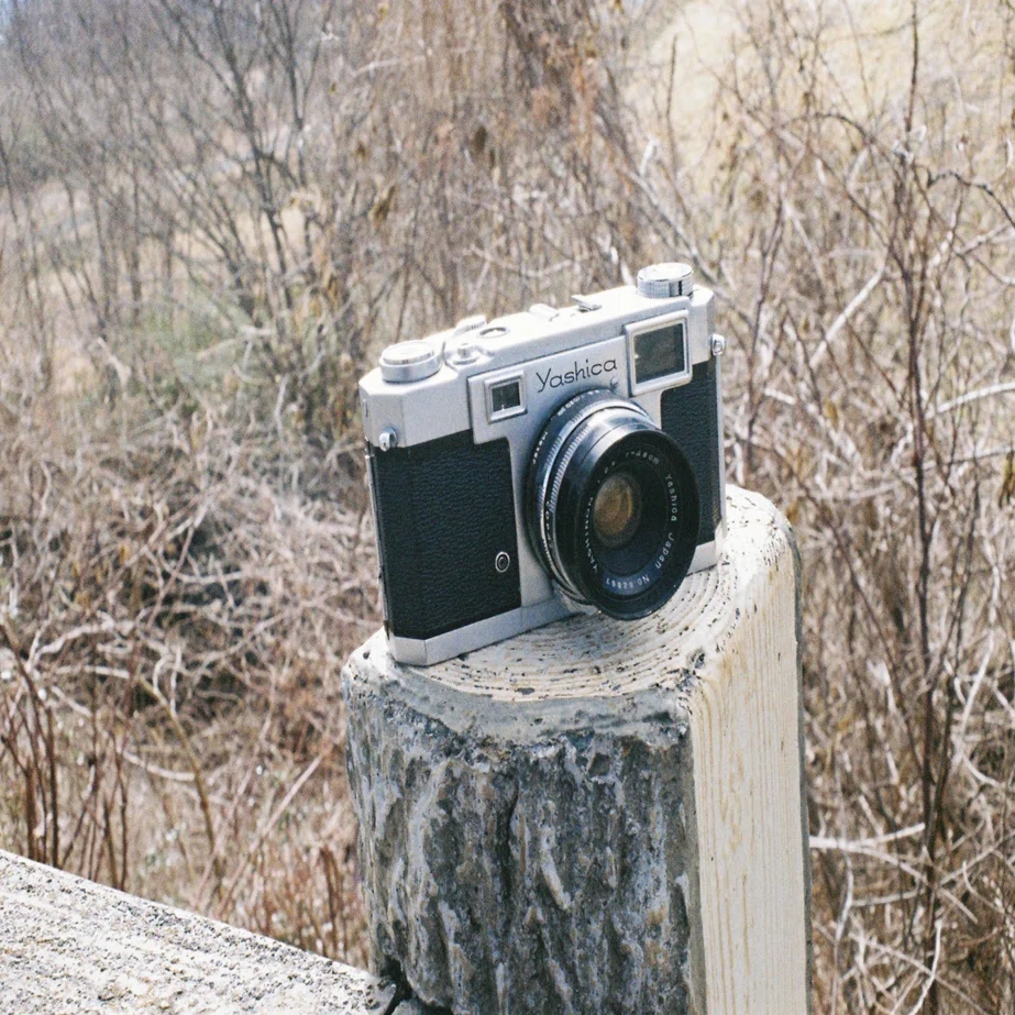 Yashica35 に一目惚れした｜おしゃま