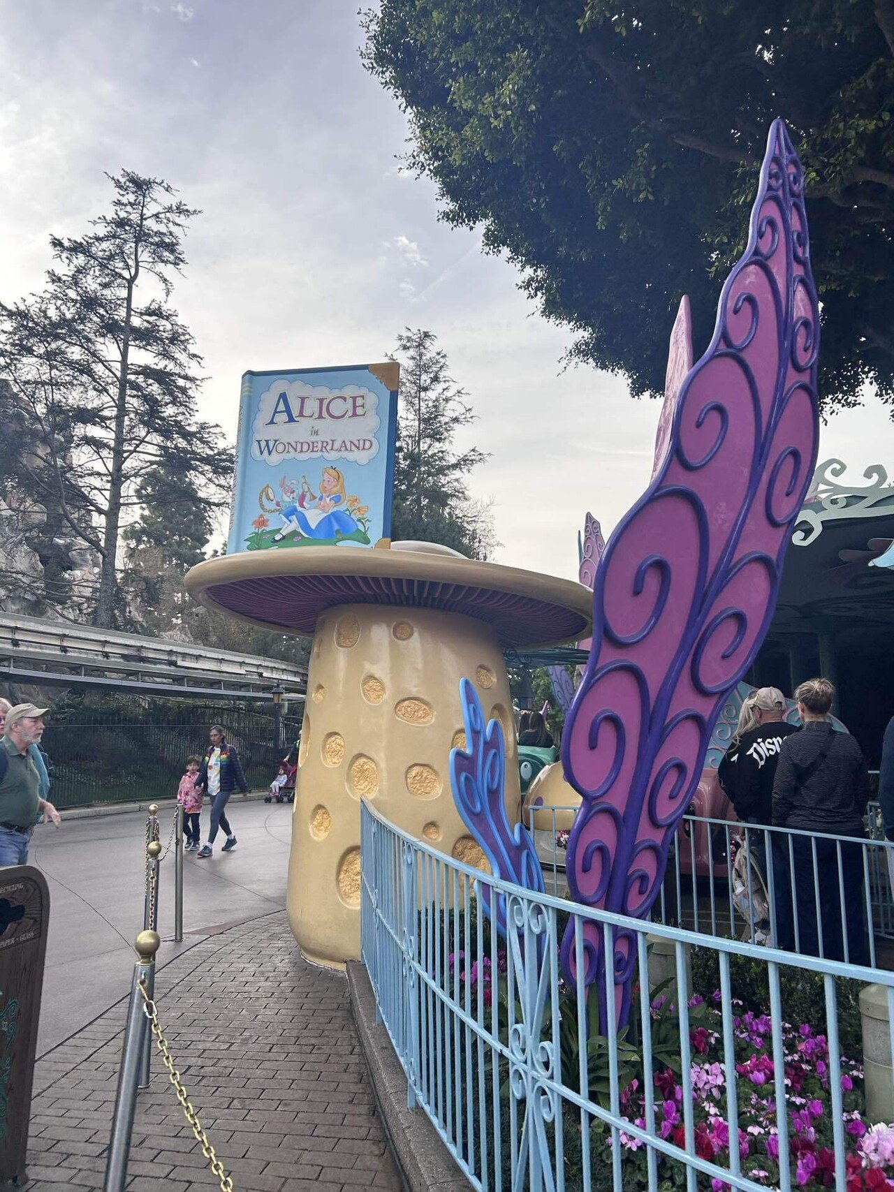 初海外】2日目 英語できない大学生によるアナハイムディズニー