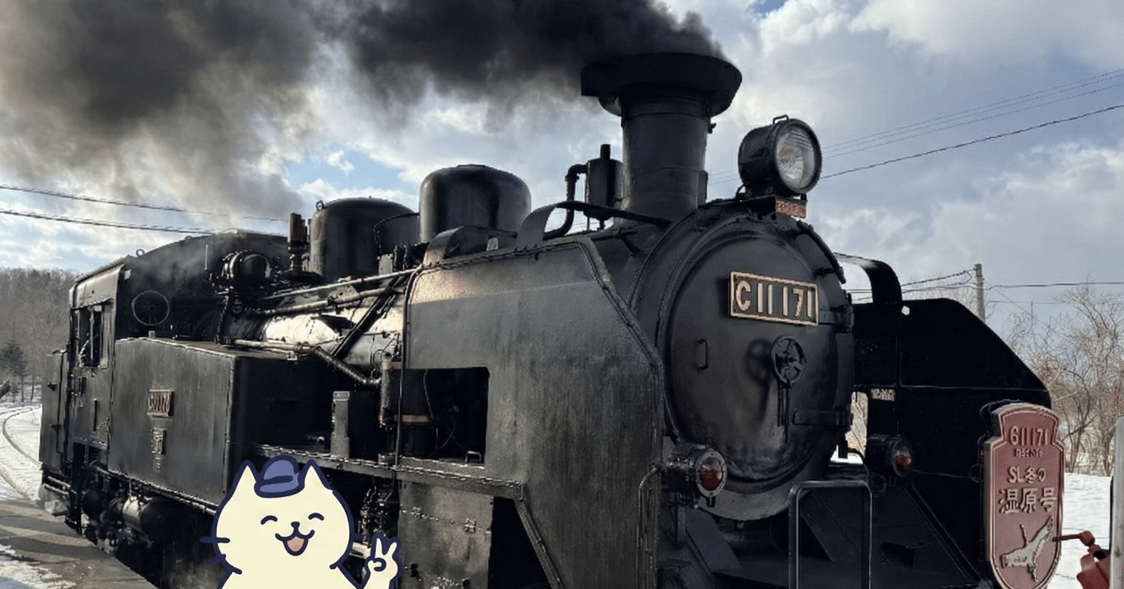 SL冬の湿原号に乗車しました！｜蒸気機関車｜野生のタンチョウ求愛
