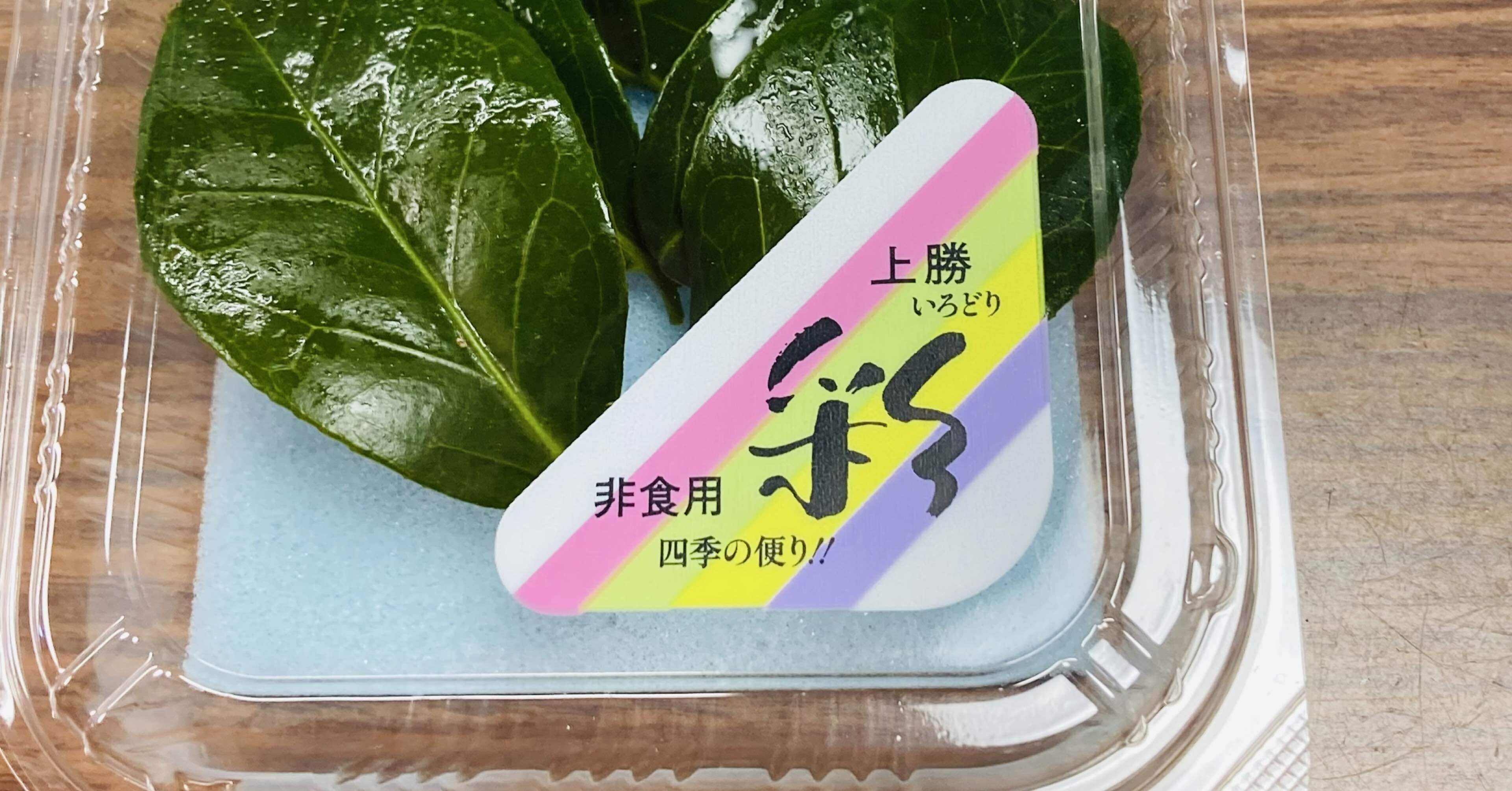 人生も経済も葉っぱが彩る。—上勝町の「いろどり」が教えてくれた