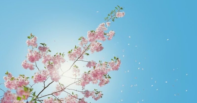 経験を価値に変える一年へ。新年度にやっておきたいこと