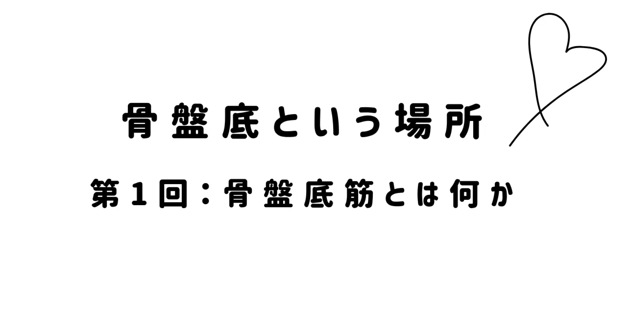 [骨盤底という場所] 第1回：骨盤底筋とは何か｜satomi