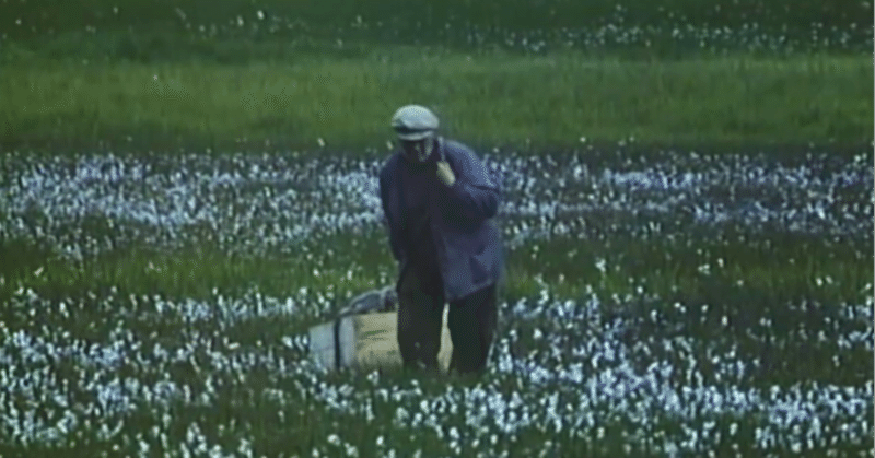 5 11 アル中インポクズの日々 名作映画 春にして君を想う ぱらもす クズ Note