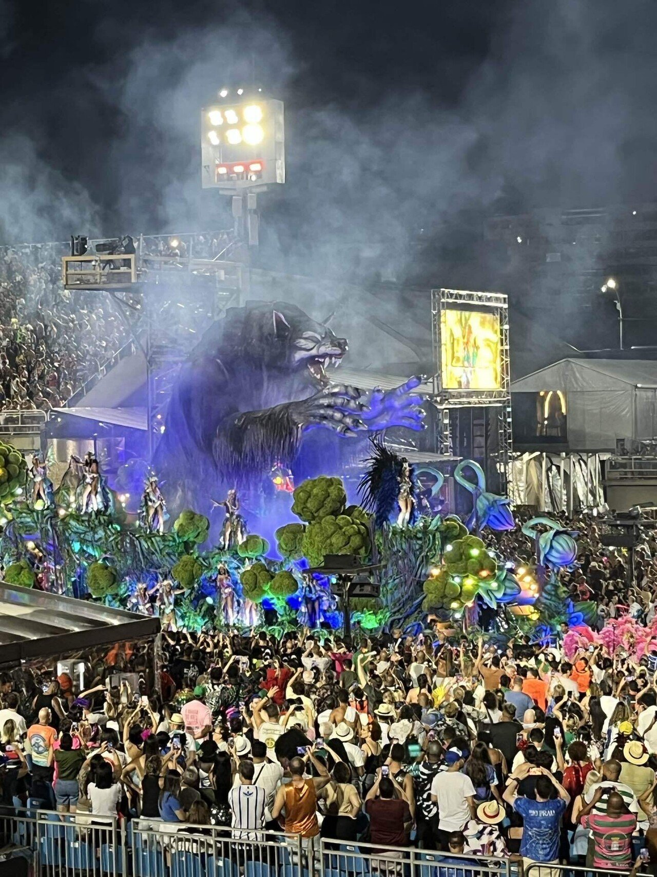 世界一周再出発day100「再びリオのカーニバルに参加」inブラジル｜みや