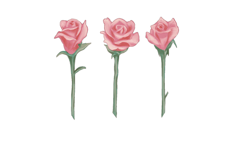 お姉様からの絵手紙 紫陽花 Liliarium Note