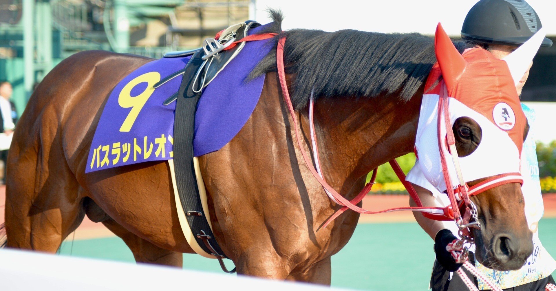 バスラットレオンと私④｜ぽてち