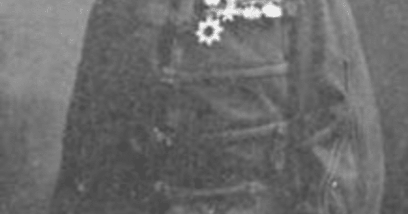 エッセイ 雪の進軍 久保研二 Note