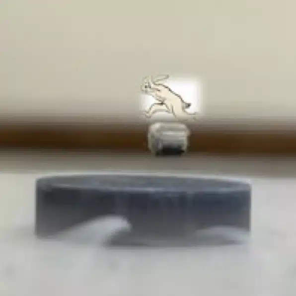 ネコウサギンツブルク