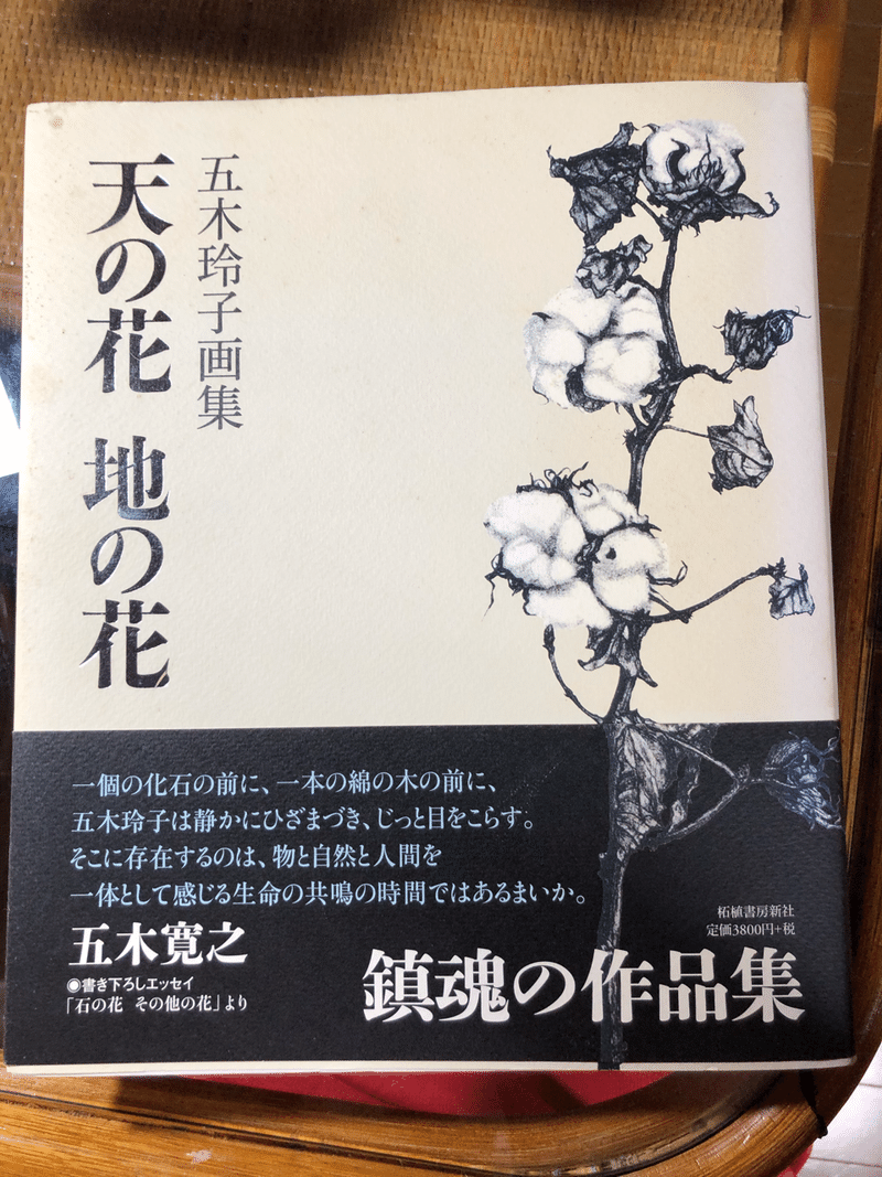 大河の一滴 Maa Note 大河の一滴 Maa Note