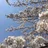 アラフォー主婦SAKURA【休職中】