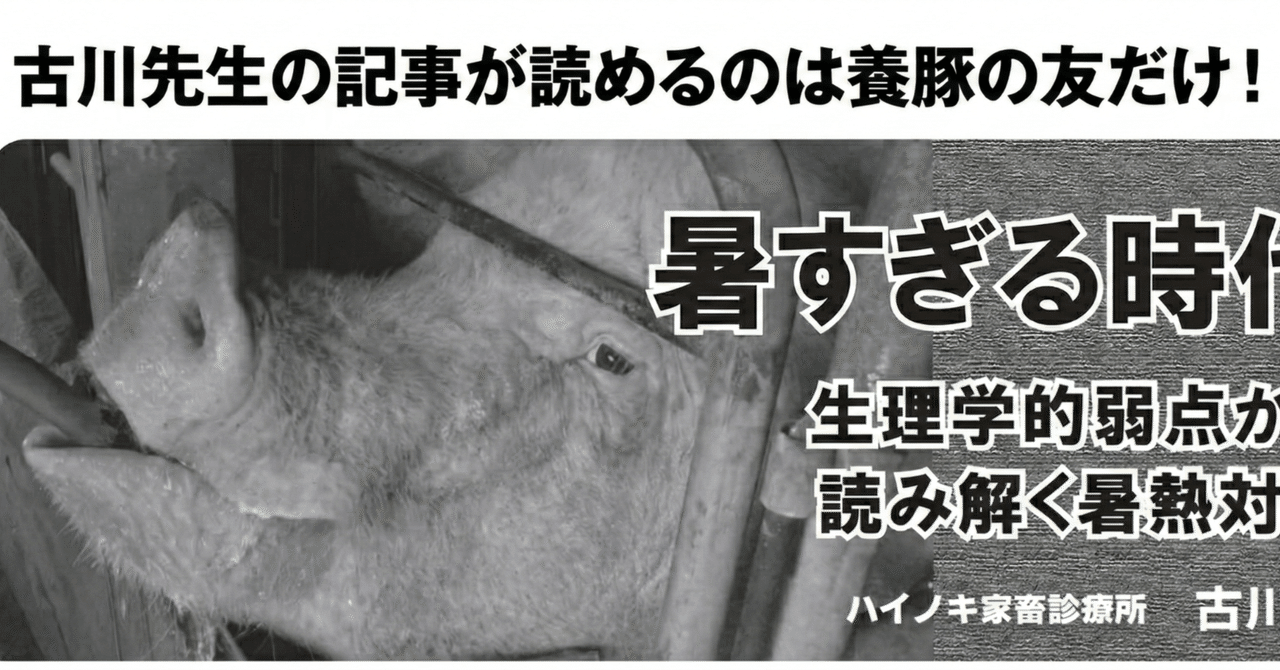 養豚の友』3月号に寄稿しました｜ハイノキは電気羊の夢を見るか？