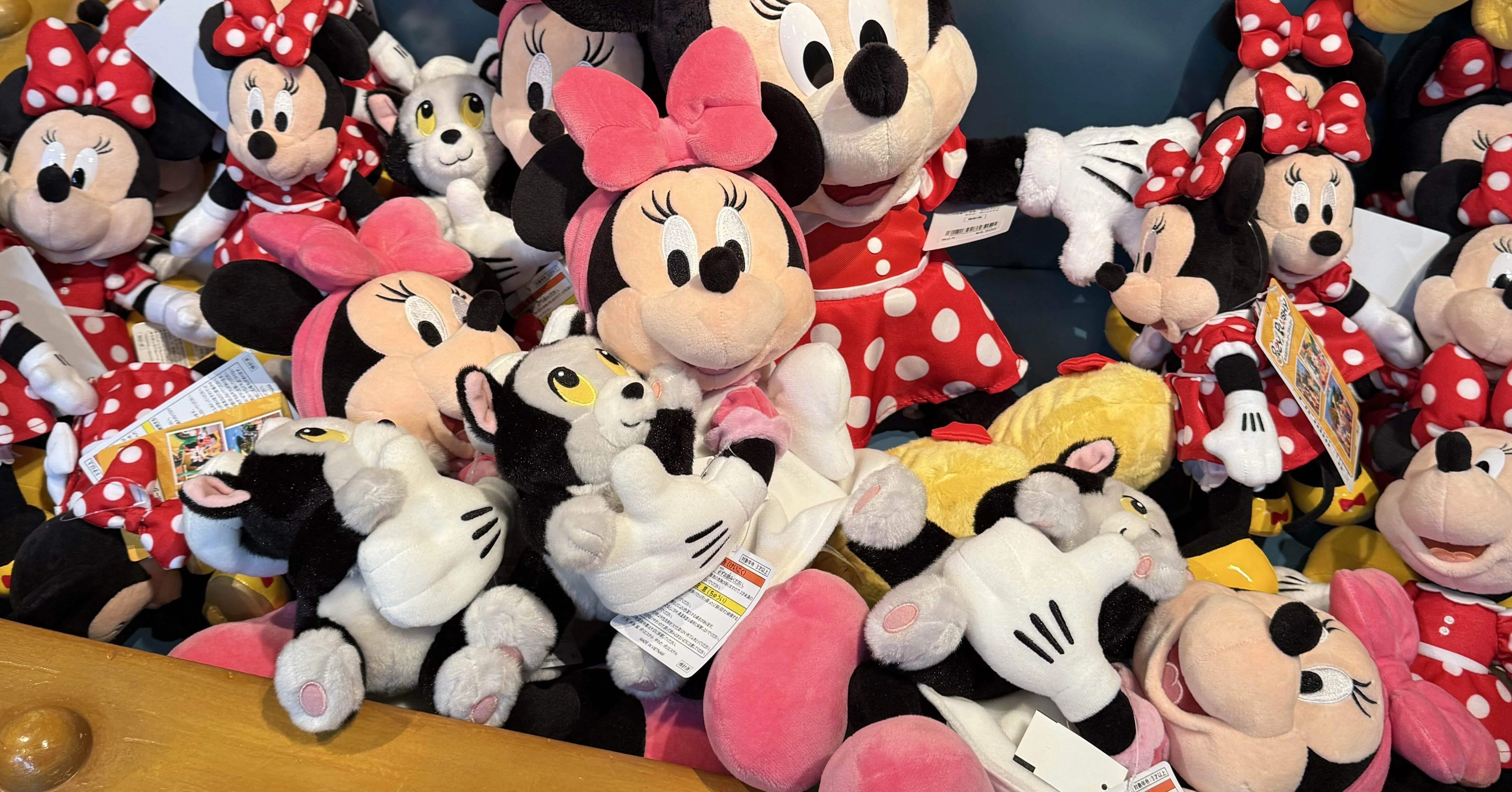 混んでる日のディズニー】時間をずらして良かったこと3つ｜ばに