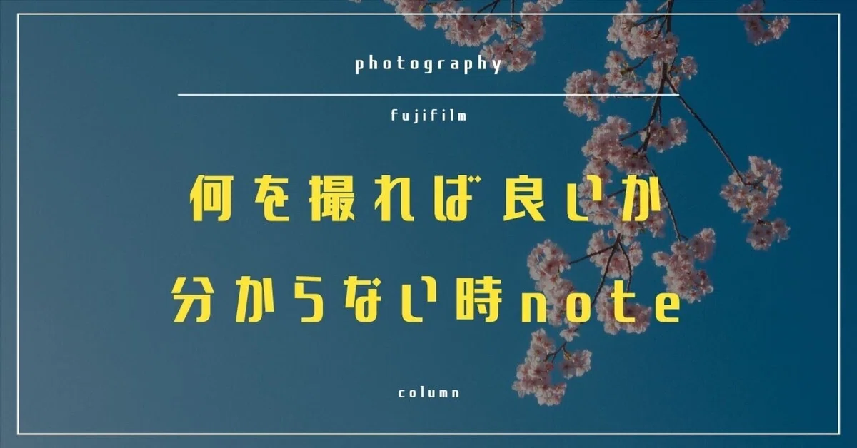 見出し画像