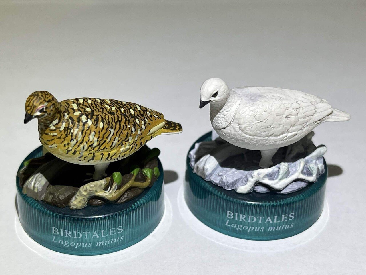 サントリー天然水のおまけ BIRDTALES-3「ライチョウ」夏羽と冬羽を