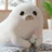 あんこ🍡/五感で綴る半径1ｍのユーモア