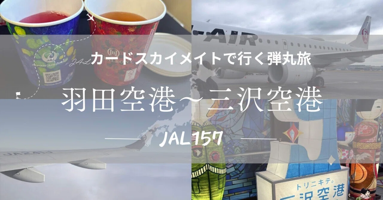 弾丸旅】羽田空港→三沢空港(JAL157) 三沢空港は⭕️軍基地内にある