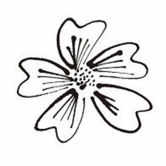 不安は 先が見えない得体の知れない緊張感や怖さ 正体がわかると不安は心配に変わる 風鳴舎 Note