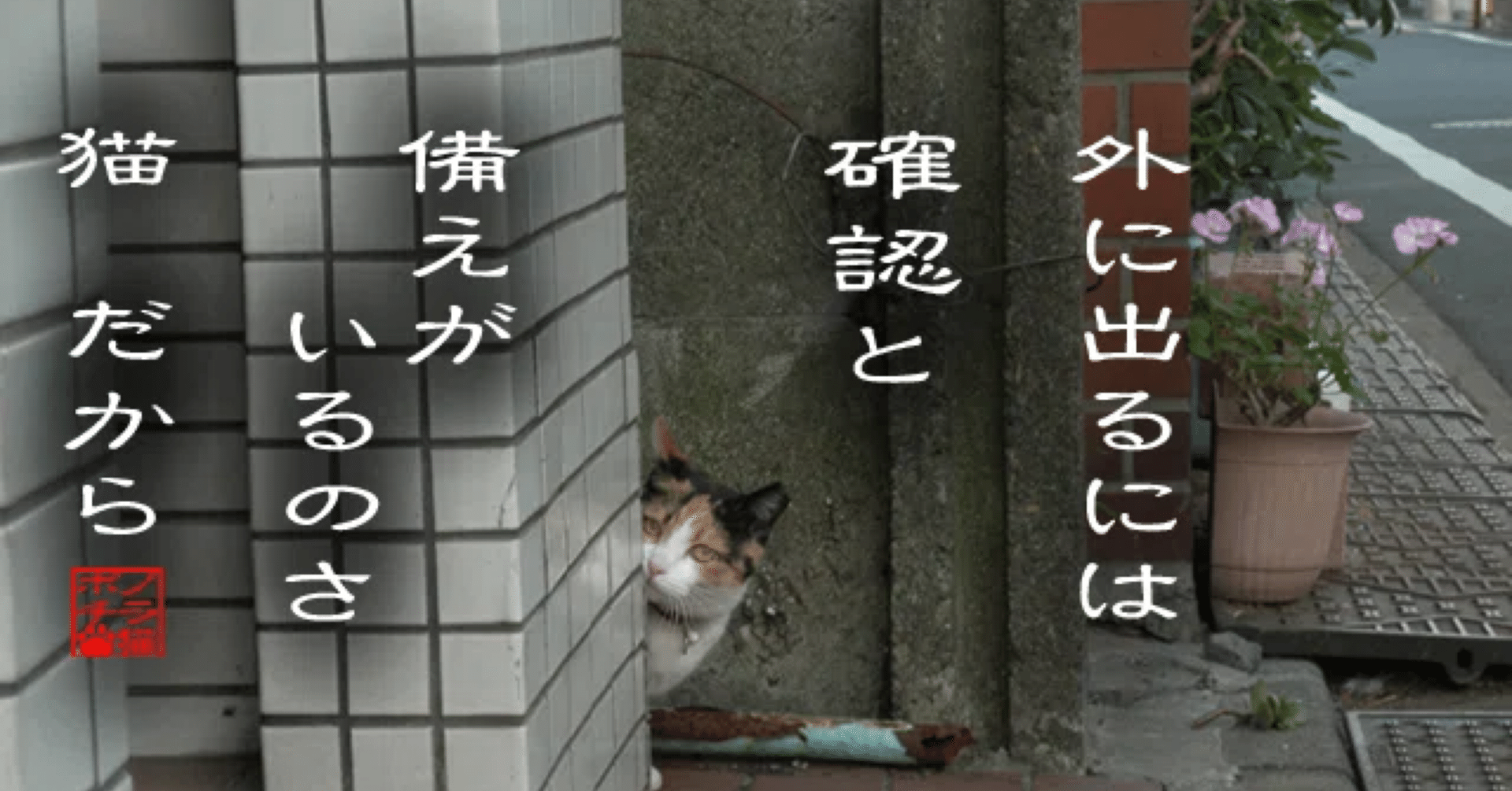 東京大学大学院人文社会系研究科 二次試験対策 面接編｜麦ごはん