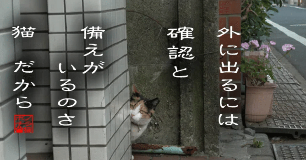 東京大学大学院人文社会系研究科 二次試験対策 面接編｜麦ごはん