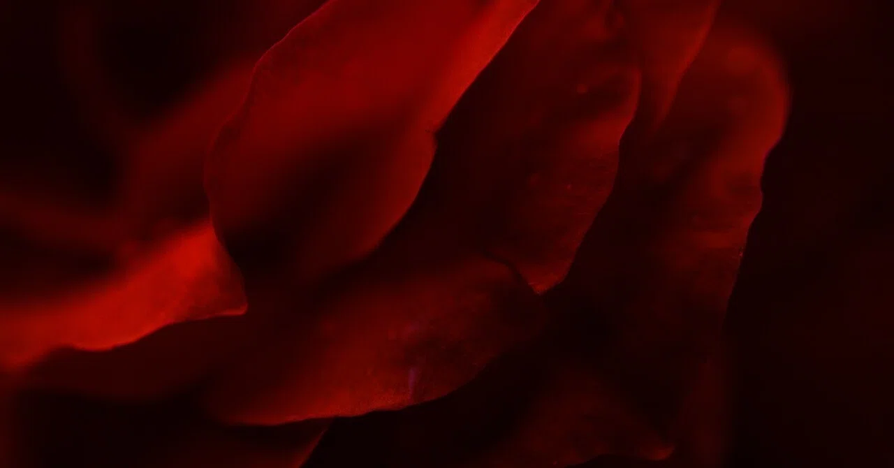 Link Preview Thumbnail
