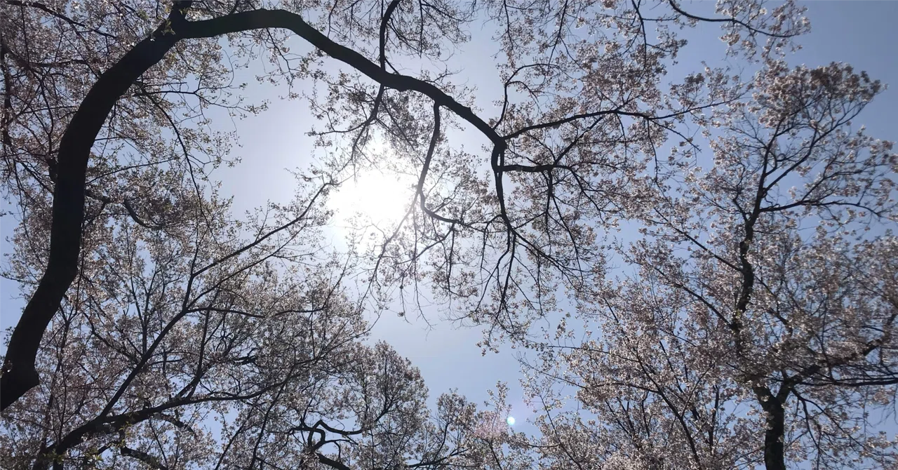 遠く遠く｜tomocchi