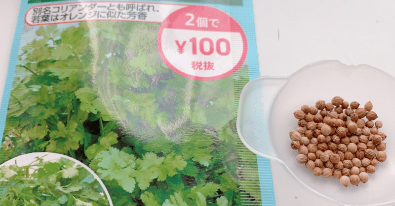 水耕栽培はじめてみました もしかしてパクチー難しいの May Note