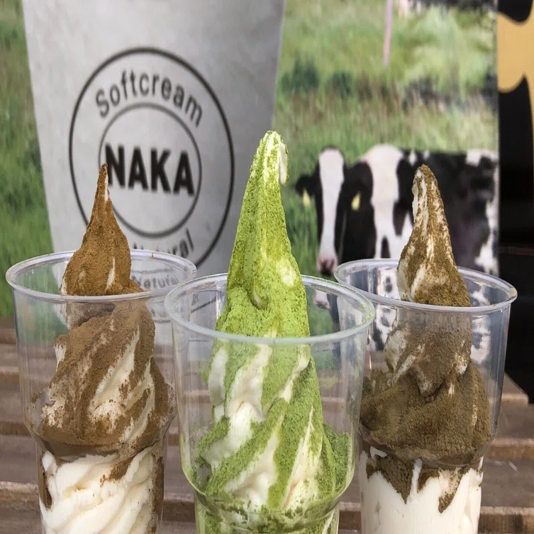 NAKAフルーツソフトです🍨｜NAKAフルーツソフト