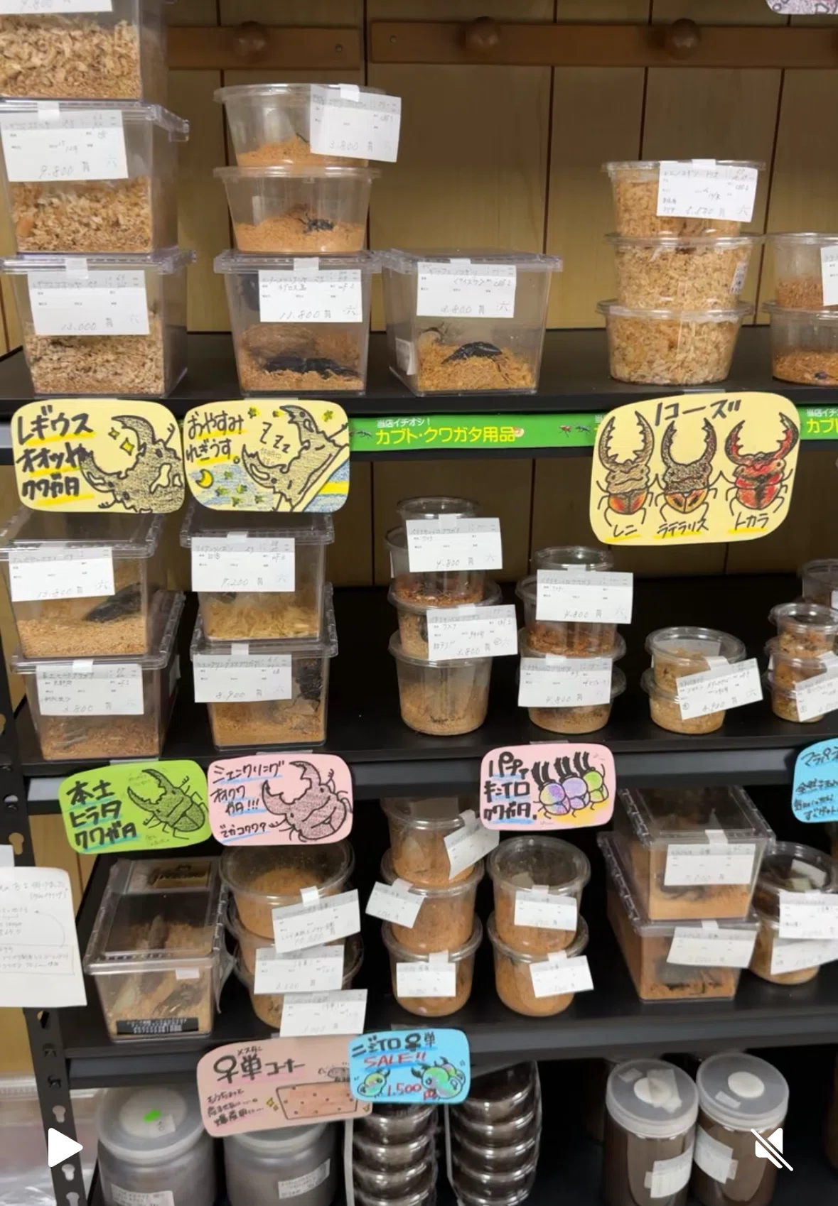 興味の外側に、一歩出てみた。｜セレモニーホール青柳【公式note】
