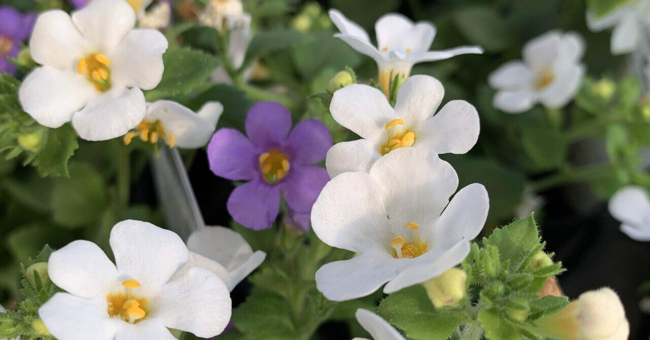 令和8年度予算審議が始まります③｜ナカタキミヒロ