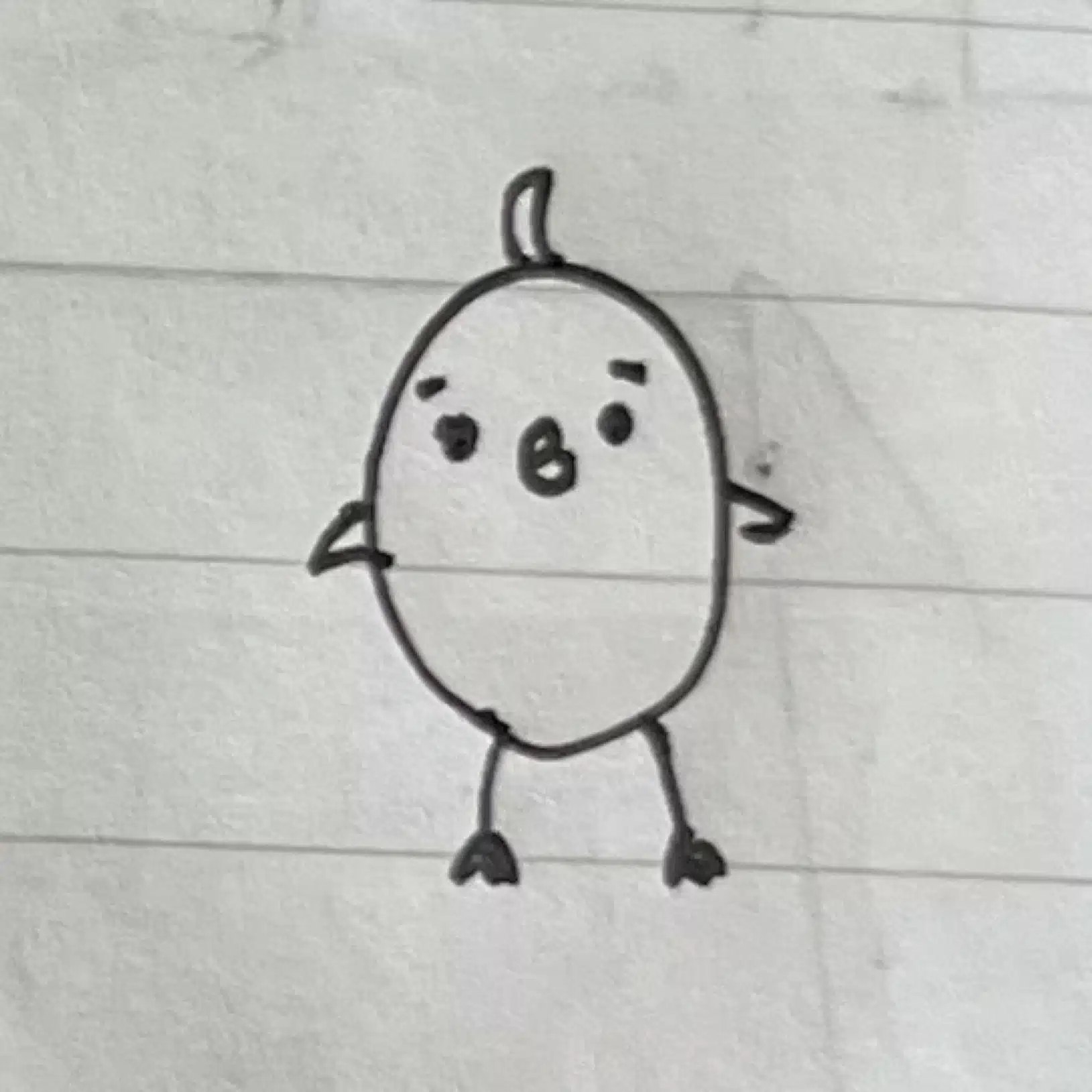 ヒヨコドリル