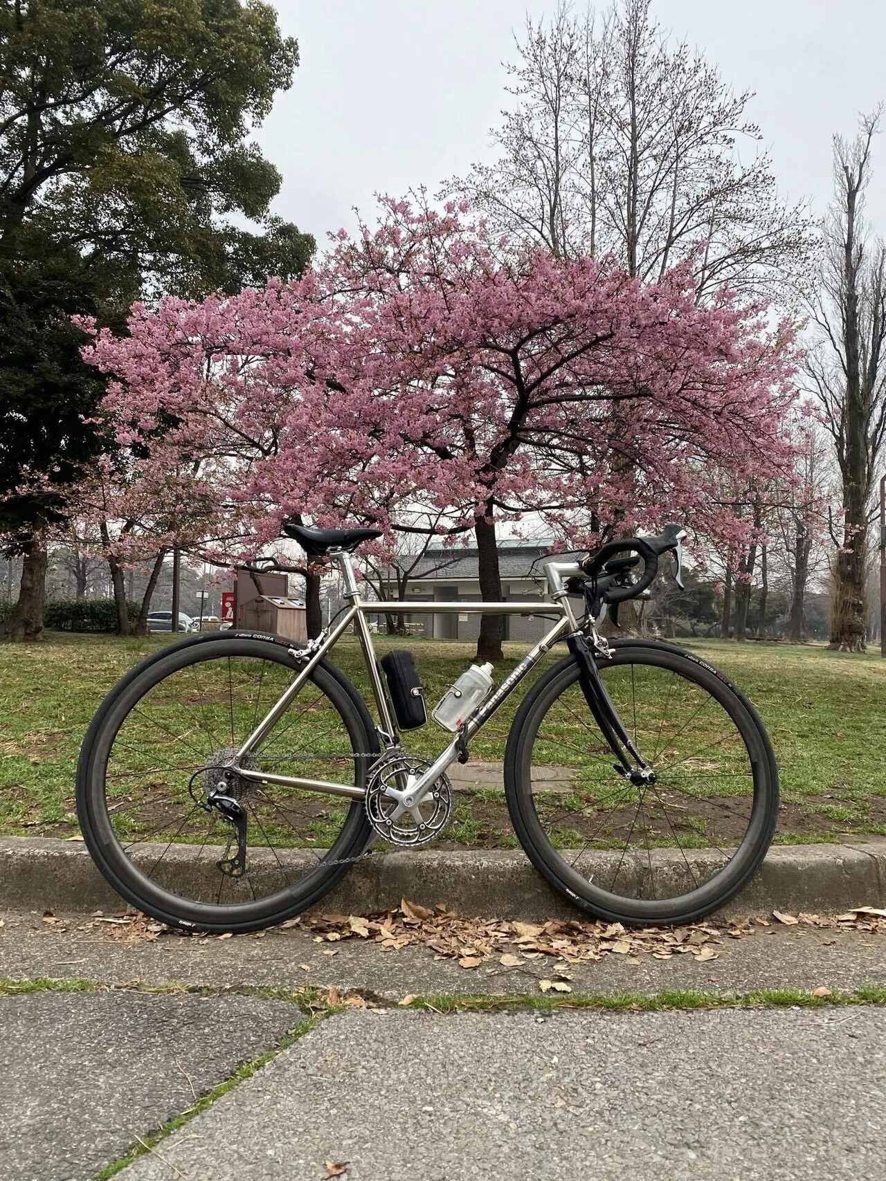東京河津桜ポタ71km｜西川正治