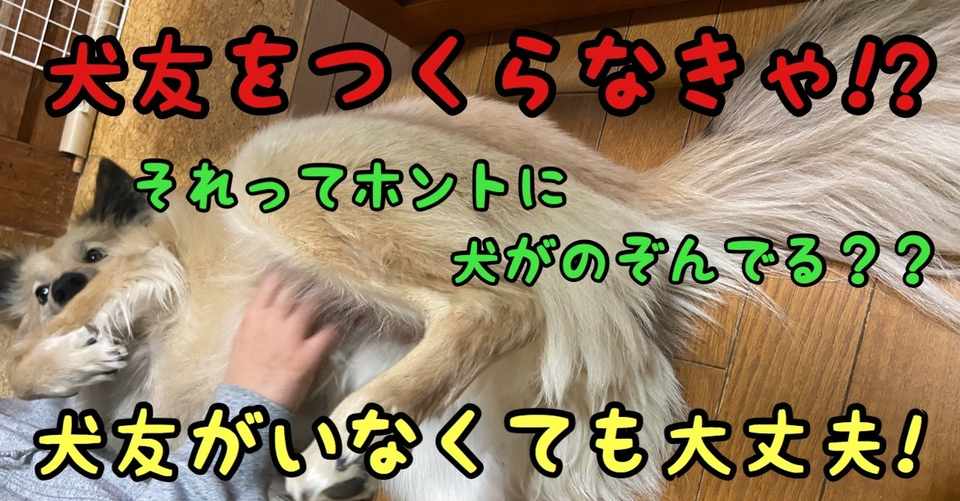 愛犬に犬の友達ができなくても大丈夫 ドッグライフサポーター 獅子パパ Note