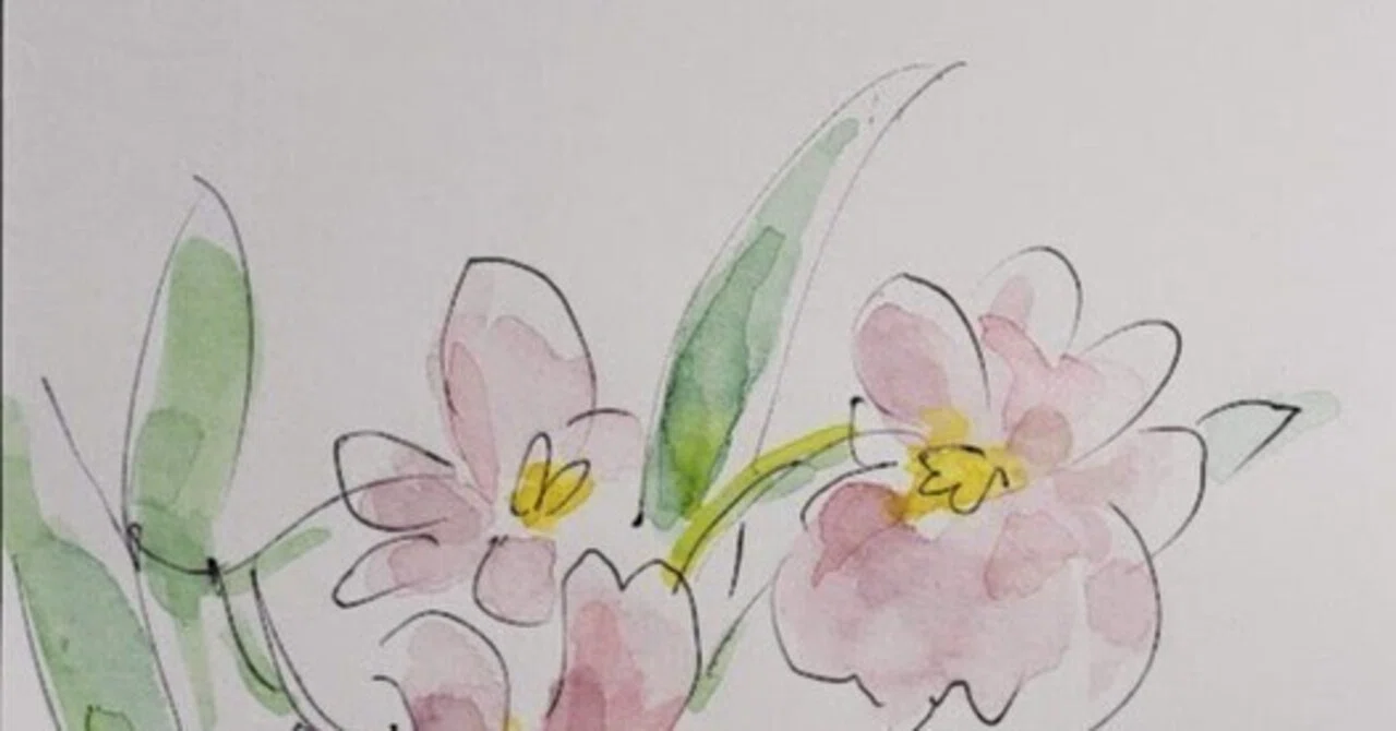 2月27日】お花🌸ミルトニア｜こうこ