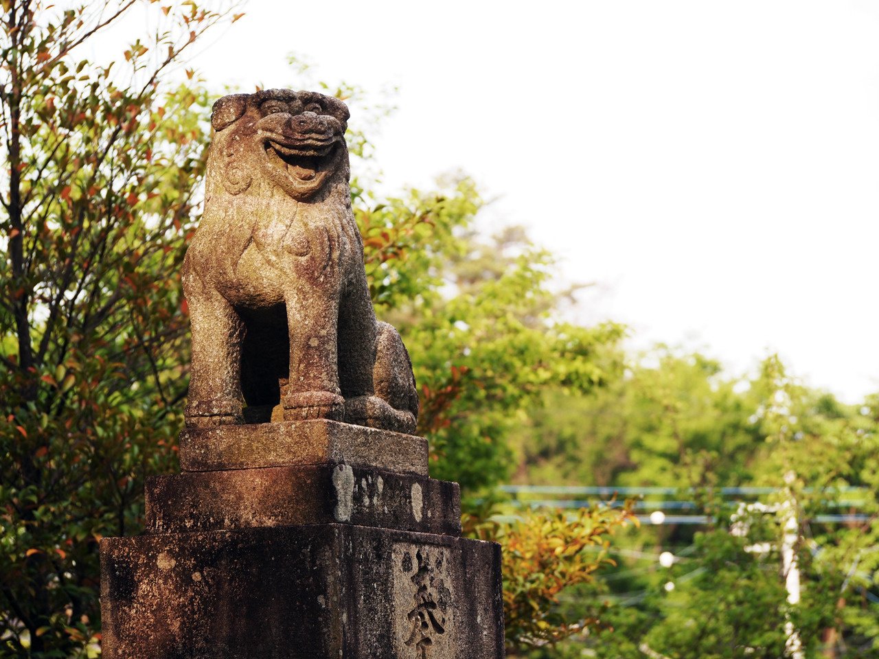 14年5月 埼玉県飯能市 中山の天神様 加治神社 どるたん どるしゃあの歌担当 Note 14年5月 埼玉県飯能市 中山の天神様 加治神社 どるたん どるしゃあの歌担当 Note