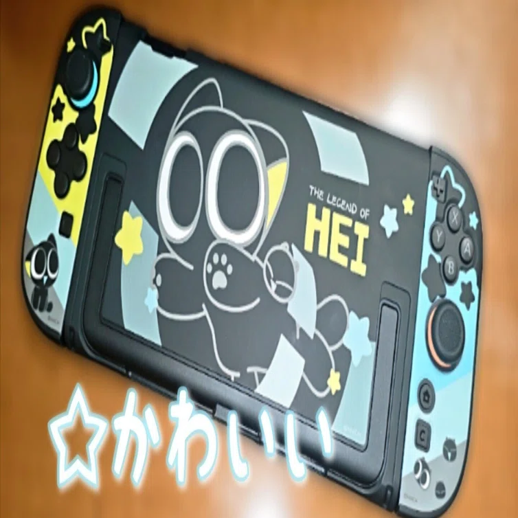日記:Switch2用に頼んだ周辺機器が全部届いたよ！｜わこたま