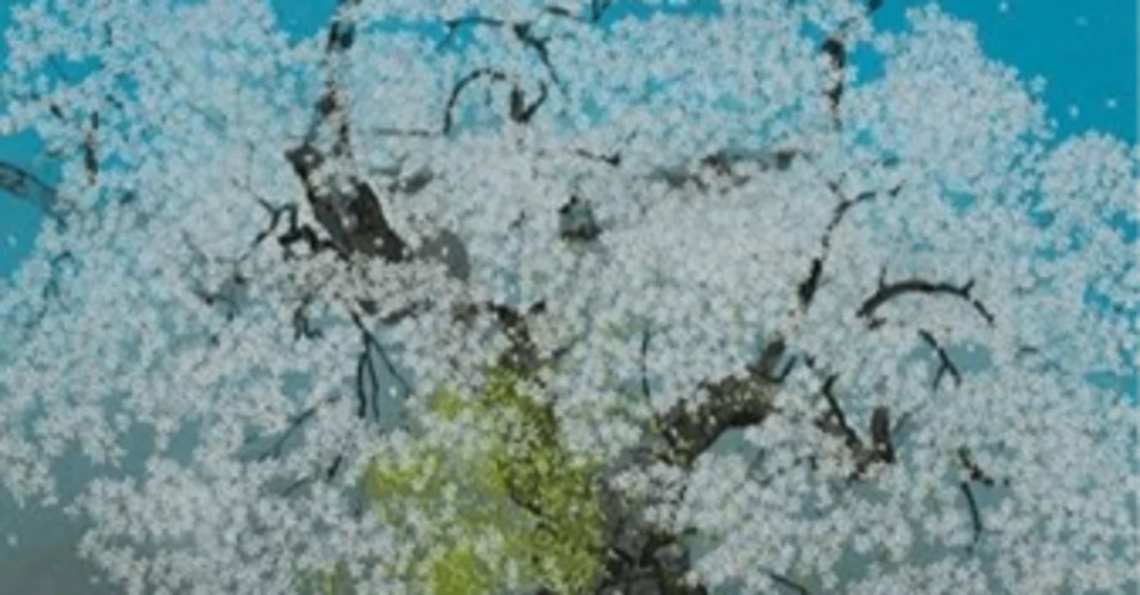 中島 千波(NAKAJIMA Chinami)】 日本画原画(紙本・絹本・彩色 中島 千波(NAKAJIMA Chinami)】 日本画原画(紙本・絹本・彩色