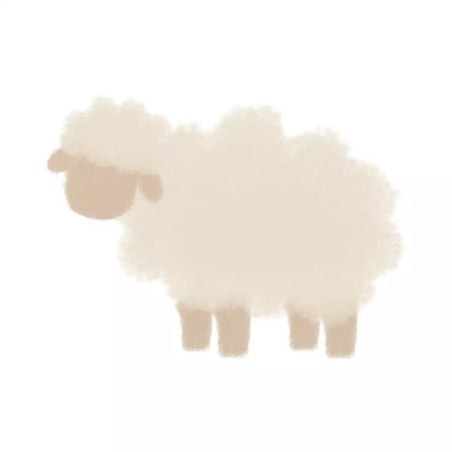 ここまる🐑