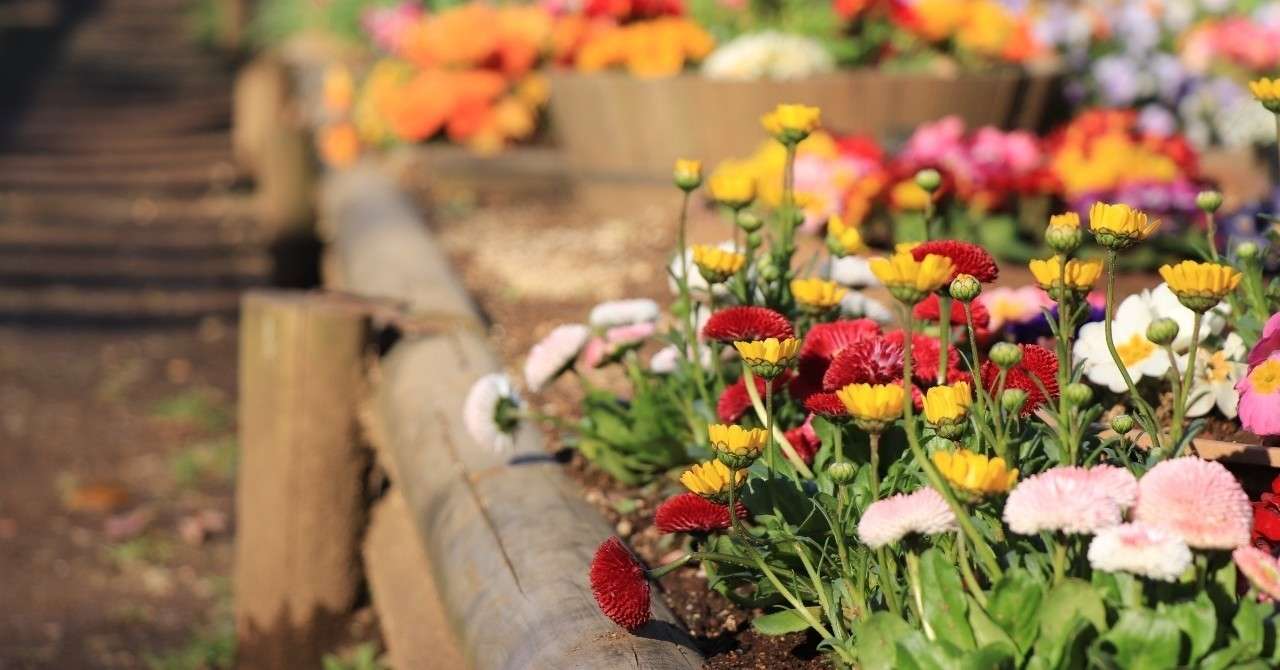 模試の活用 一次試験模試結果とその後の学習 中小企業診断士試験 Takimaru Note