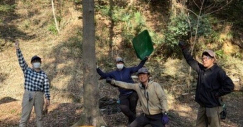 どんぐり山通信:フェスティバルまであと7日!