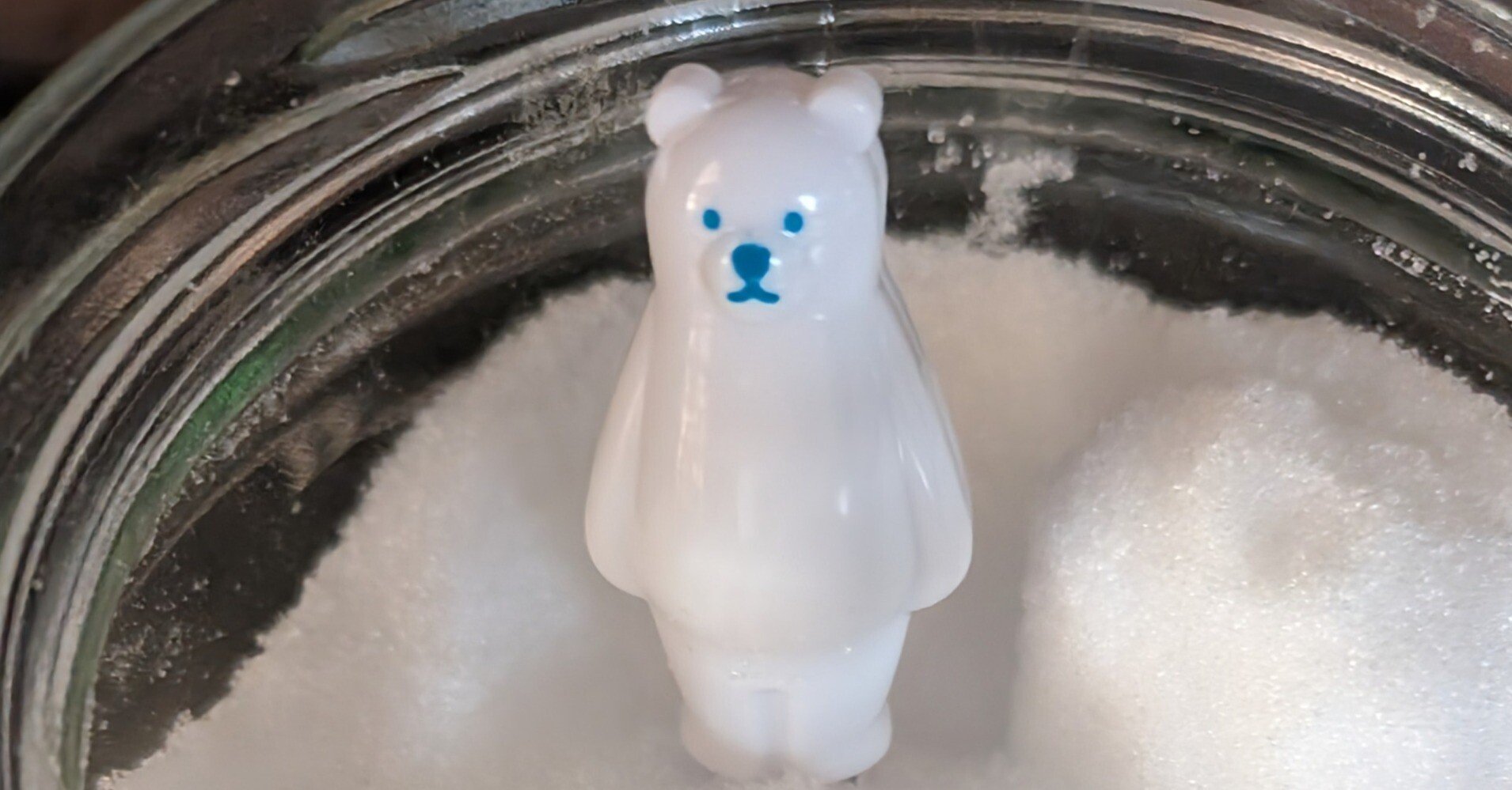 暮らしのことなど】シロクマちゃん｜龍沼樹里