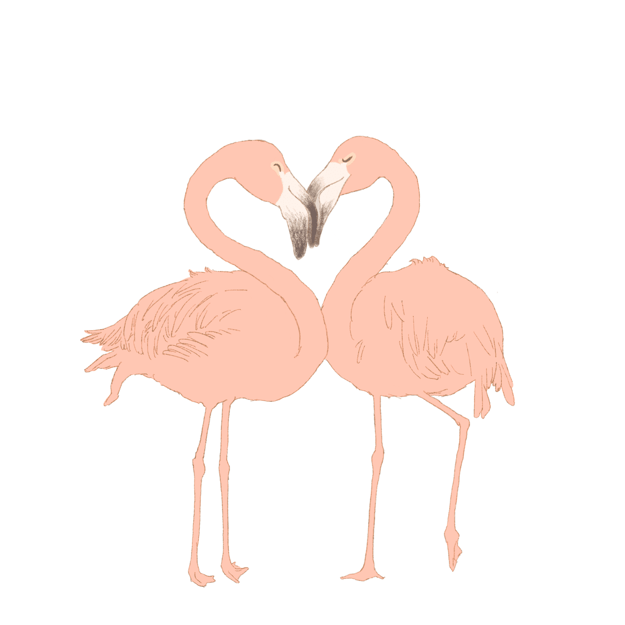 動物イラストいろいろ にしはらあやこ Note