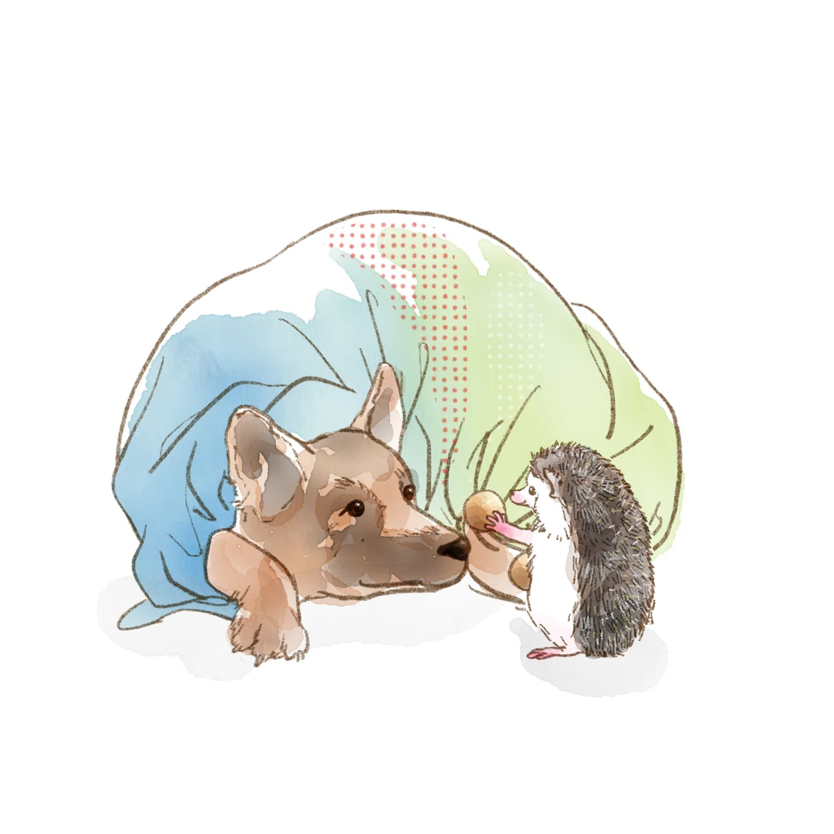 画像