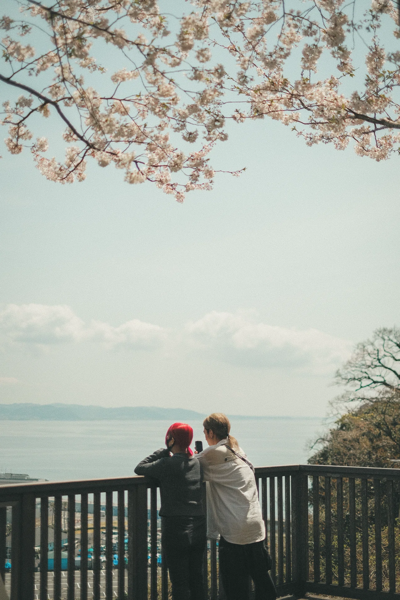 写真を見て下さい 去年の桜写真を見ながら感じたRAWとJPEGの話。｜sho