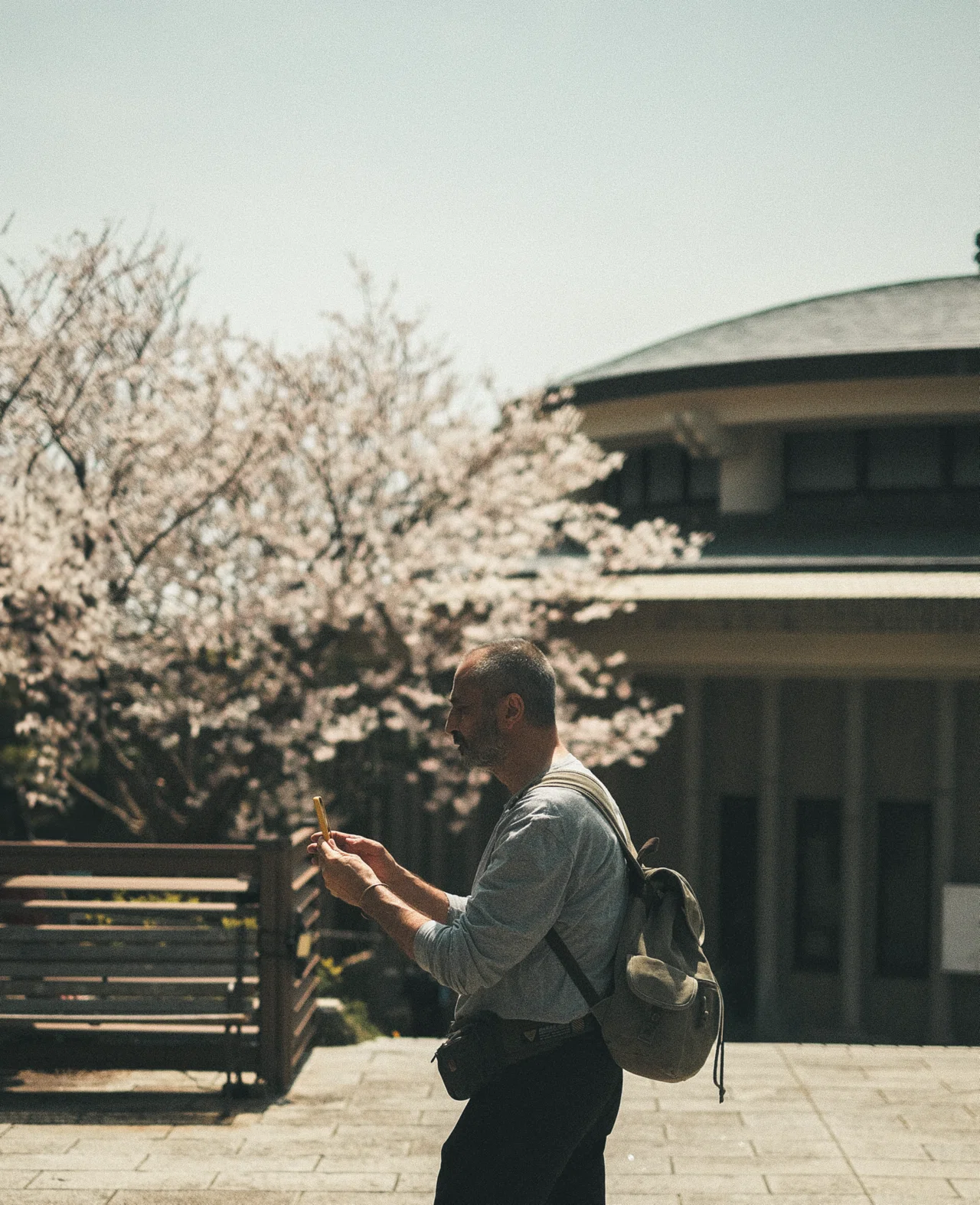 去年の桜写真を見ながら感じたRAWとJPEGの話。｜sho