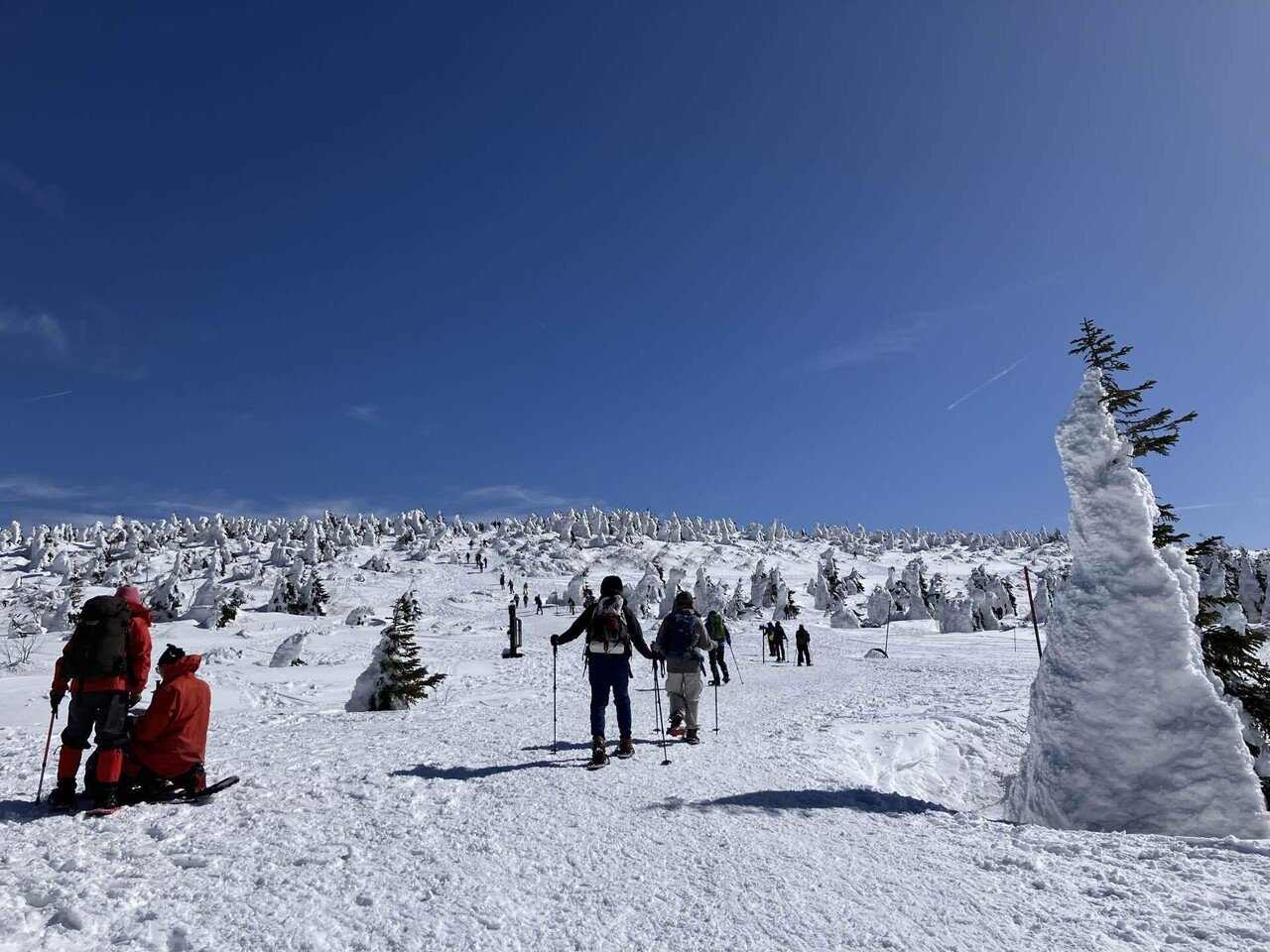 蔵王雪歩き2026｜タカ@センサ屋2代目