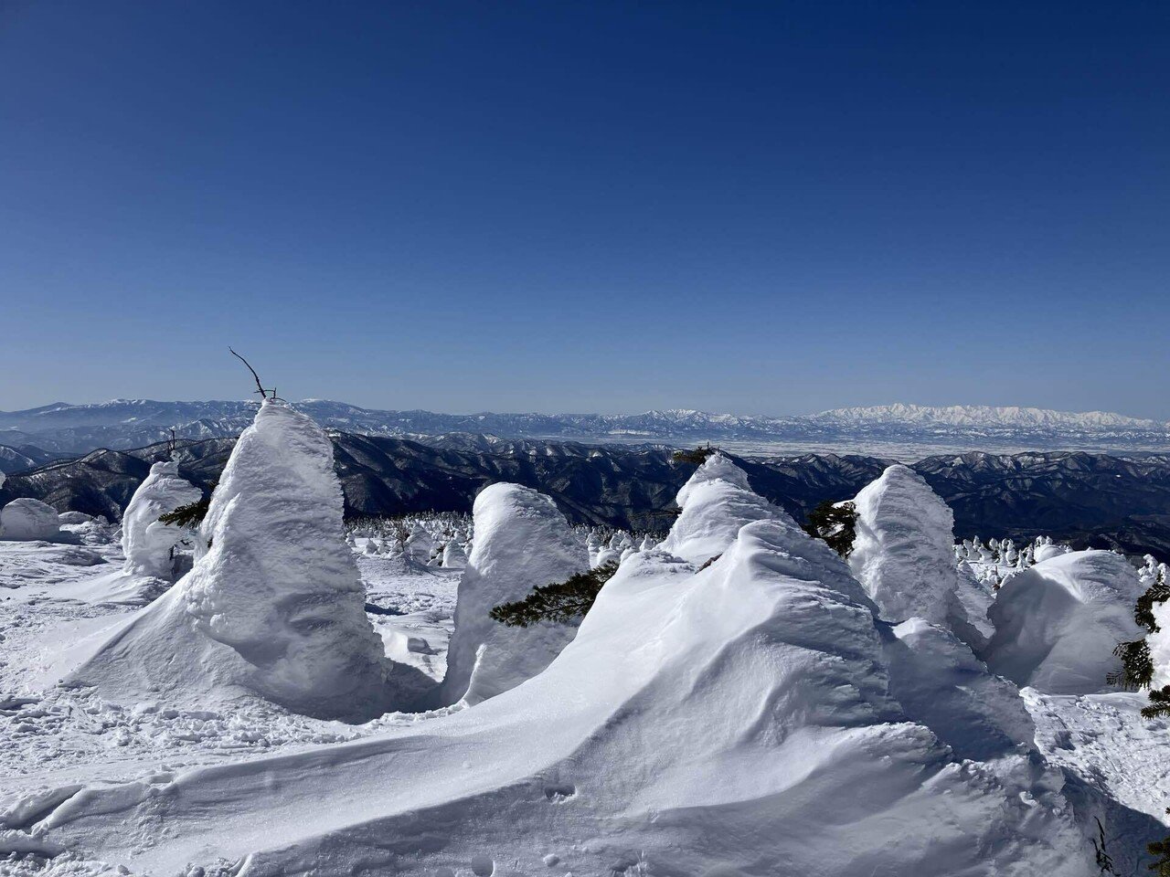 蔵王雪歩き2026｜タカ@センサ屋2代目