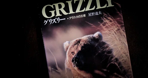 クマの本など｜Sinh｜note