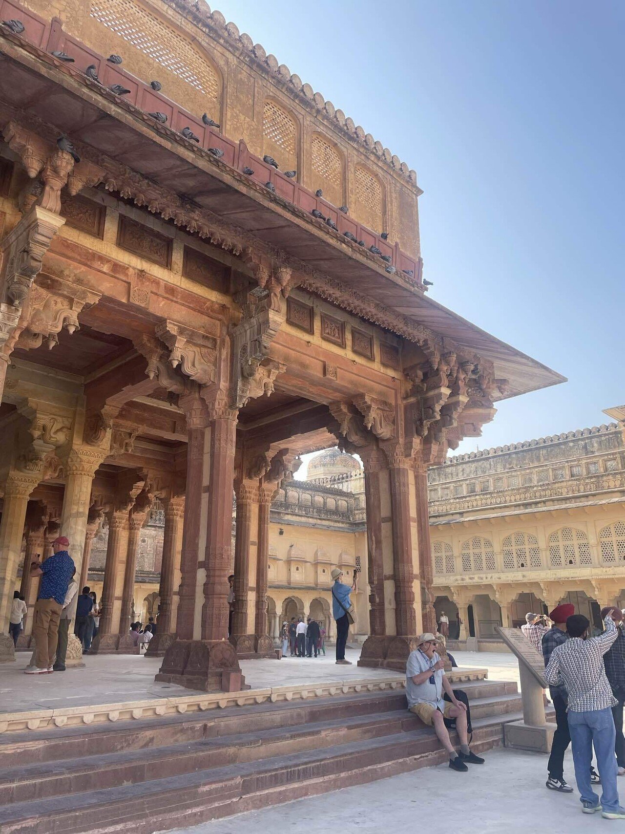 インドが私を呼んでいる・・・気がしたので行ってみた～インド旅行